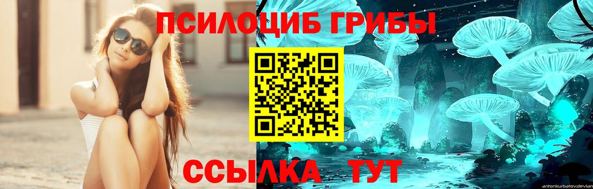 Псилоцибиновые грибы мицелий Стрежевой